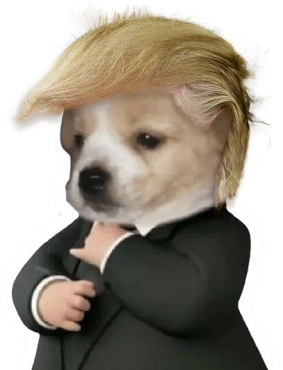 CEO Dog — official statement